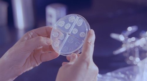 L'Oréal takes over Lactobio to strengthen microbiome research