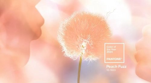 Soft, sensual and contemporary, 'Peach Fuzz' is set to be the color of 2024